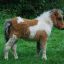 Player avatar for Devon K. from Pennsylvania reviewing DraftKings Casino live dealer section